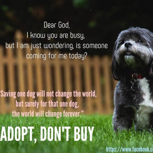 Meet Your Posher, 21st Century Foxy Lady! - Picture 8 of 16